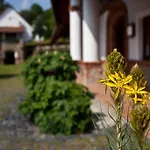 St.michael Panzio Lovaspark