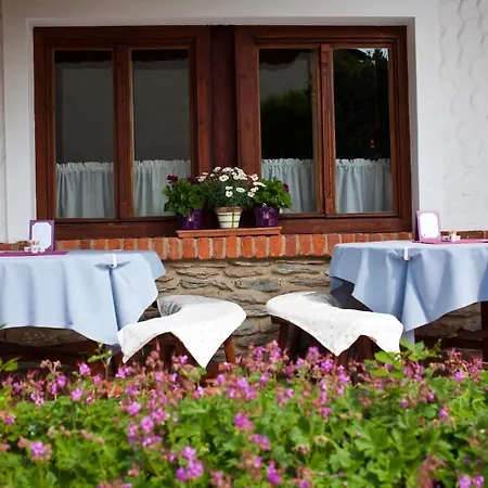 Bed & Breakfast St.michael Panzió Lovaspark