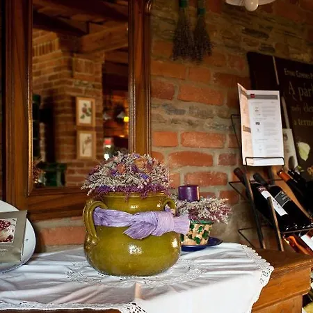 St.michael Panzio Lovaspark Bed & Breakfast Vasszentmihaly