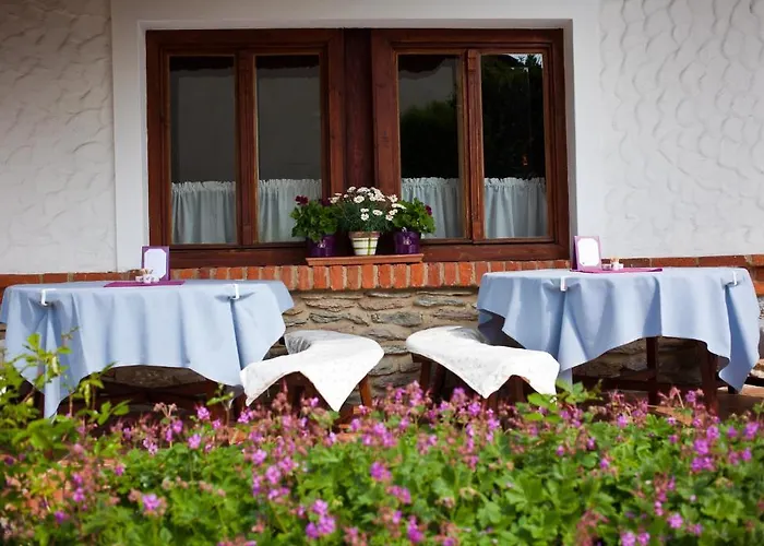 Bed & Breakfast St.michael Panzio Lovaspark