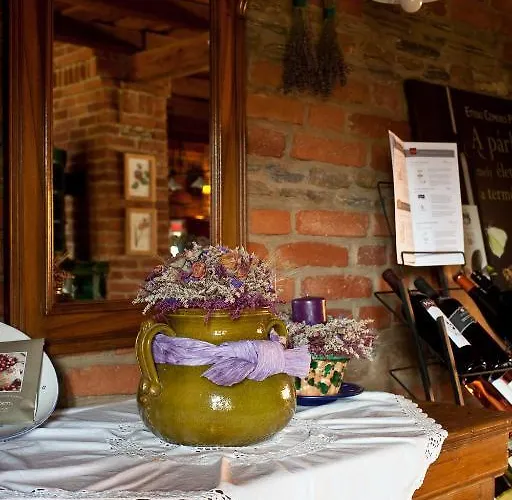 St.michael Panzio Lovaspark Bed & Breakfast Vasszentmihály
